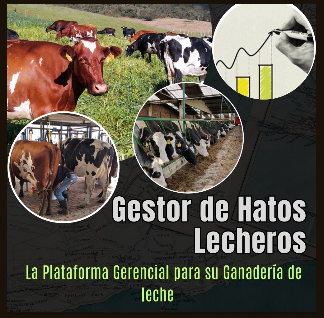 Gestor de Hatos