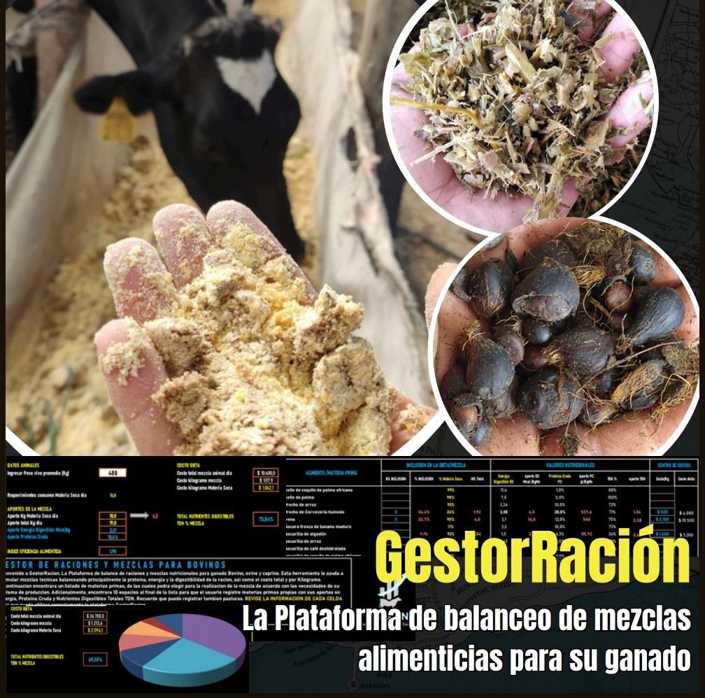 Gestor de Raciones para Ganado