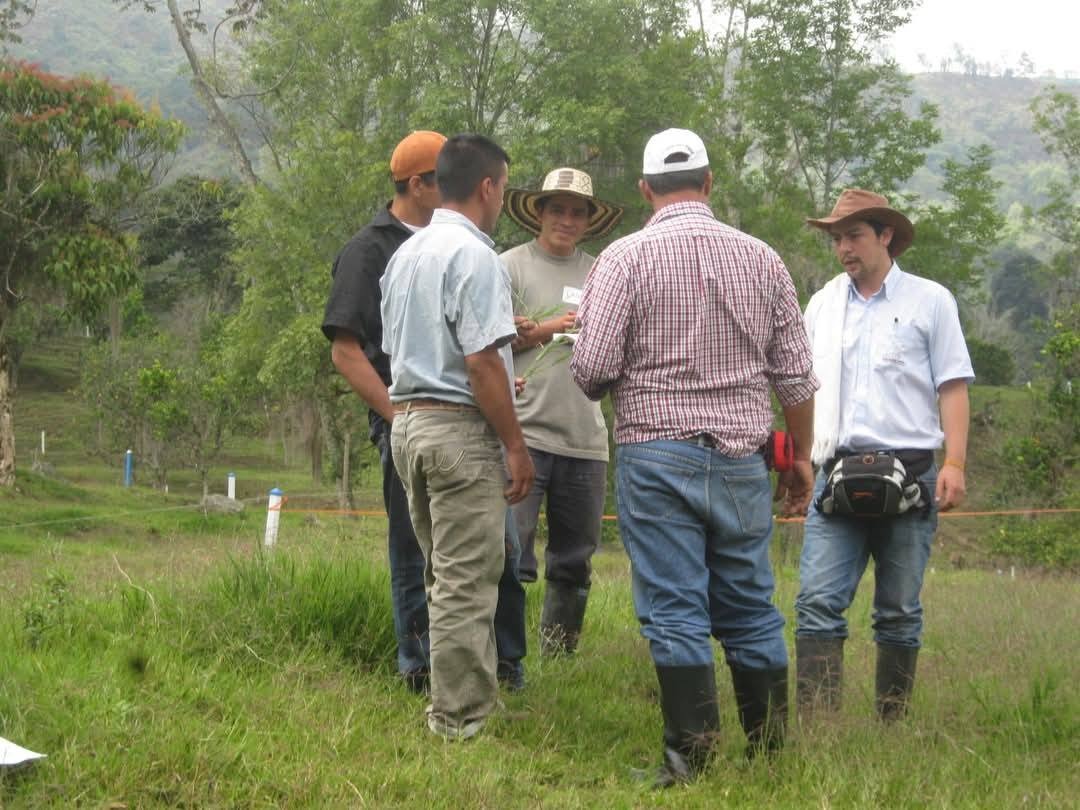Productores en campo